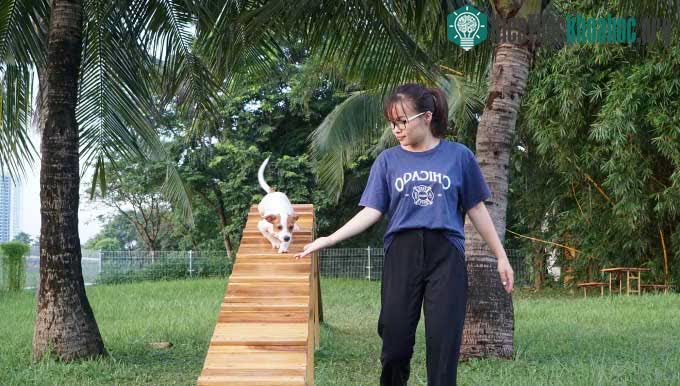 Công viên dành cho chó đầu tiên tại Hà Nội ảnh 0