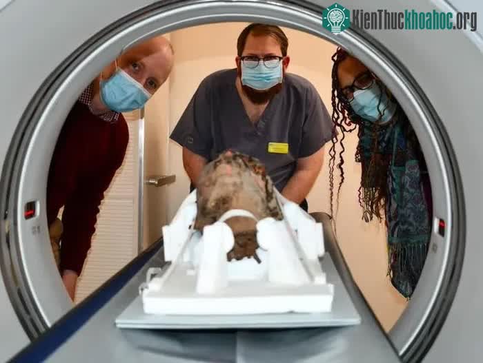 Các nhà khoa học bên chiếc đầu người đang được đưa vào máy CT