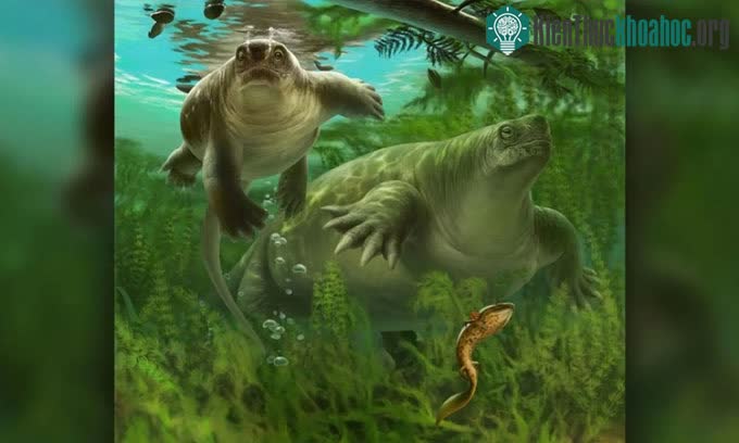 Mô phỏng loài Lalieudorhynchus gandi mới được phát hiện.