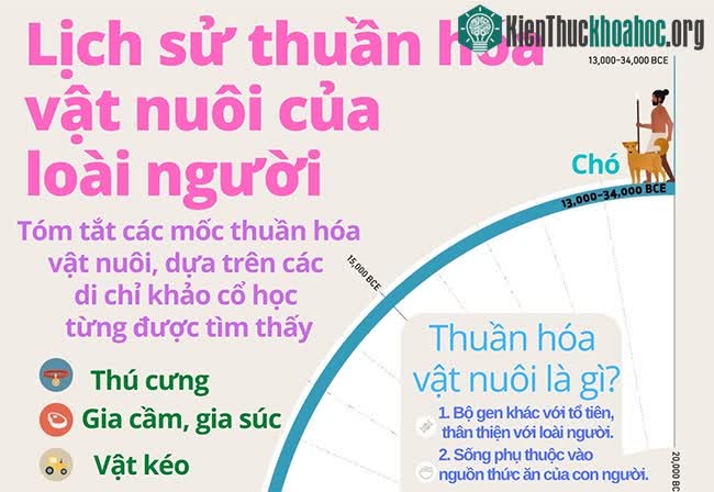 Lịch sử thuần hóa vật nuôi của loài người