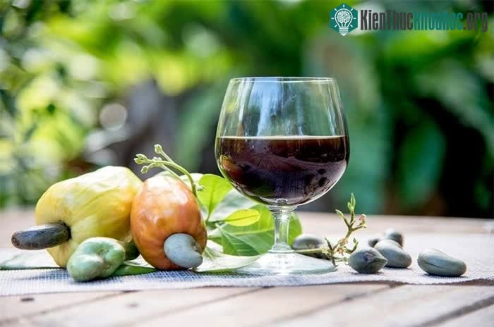 Rượu vang từ quả điều chứa nhiều thành phần vitamin dồi dào tốt cho sức khỏe.