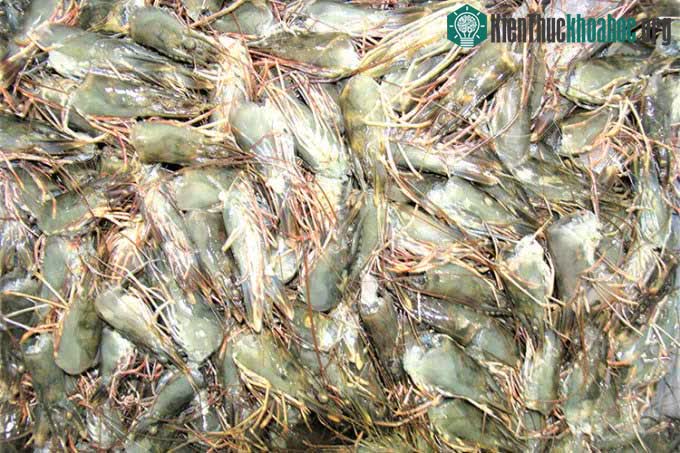 Đầu tôm
