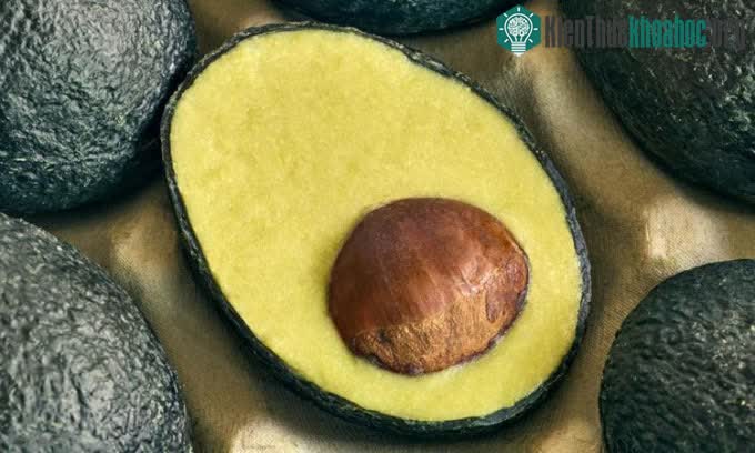 Ecovado trông rất giống một quả bơ thật