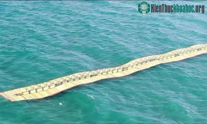 Thiết bị điện sóng Waveline Magnet.