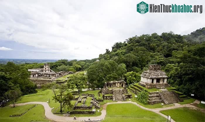 Ngôi đền của người Maya trong rừng rậm