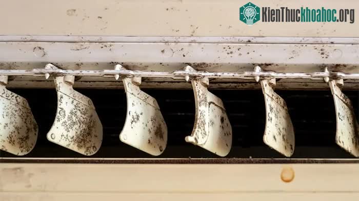Dấu hiệu nấm mốc nghiêm trọng trên cục lạnh điều hòa.