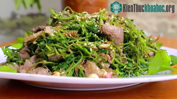 Rau má chứa khá nhiều dưỡng chất thực vật (phytonutrients) quý hiếm.