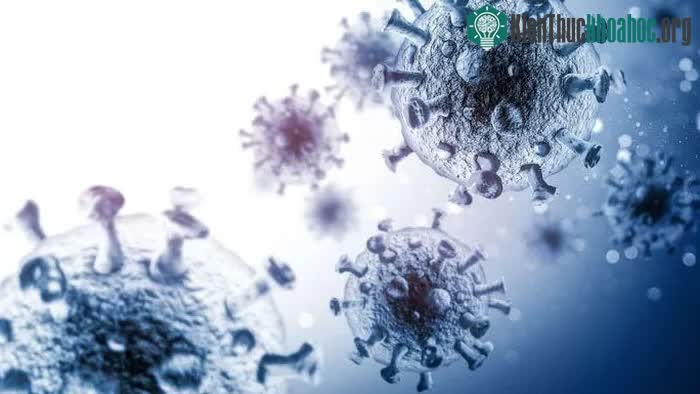 Virus HIV