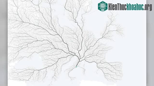 Bản đồ do Moovel Lab tạo ra nhằm xem xét những cách tốt nhất để đến Rome