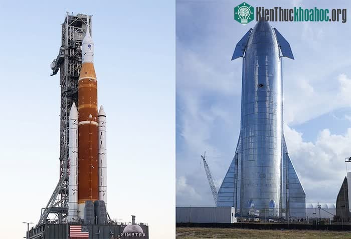 Starship cao khoảng 120 feet (120 m). Cấu hình Khối 1 của SLS cao 322 feet (100 m).