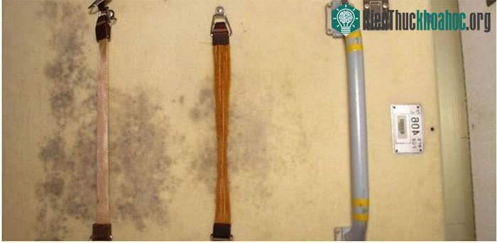 Nhiều thiết bị trên trạm vũ trụ bị tấn công bởi vi khuẩn và nấm mốc.