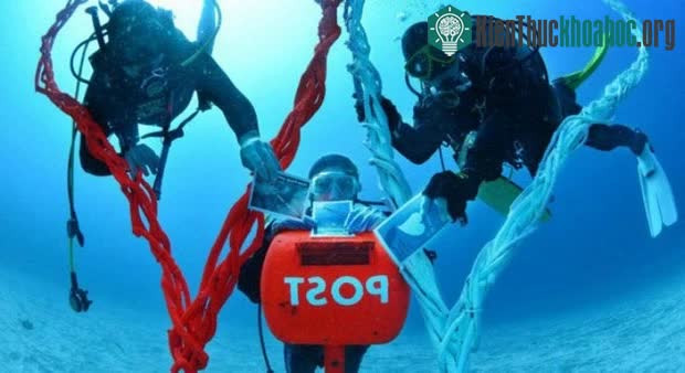 Hộp tư Susami có màu đỏ đặc trưng