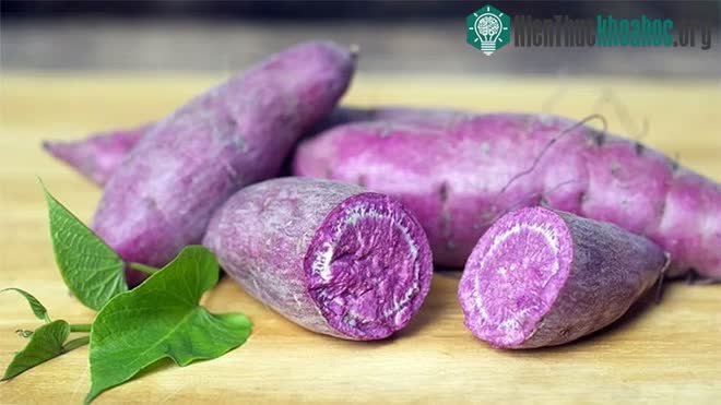 Cách tốt nhất là ăn vào bữa trưa, khoảng 100 g là có lợi nhất đối với hệ thống tiêu hóa