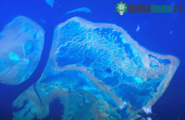 Rạn san hô Great Barrier nhìn từ trên cao ở ngoài khơi bờ biển Queensland