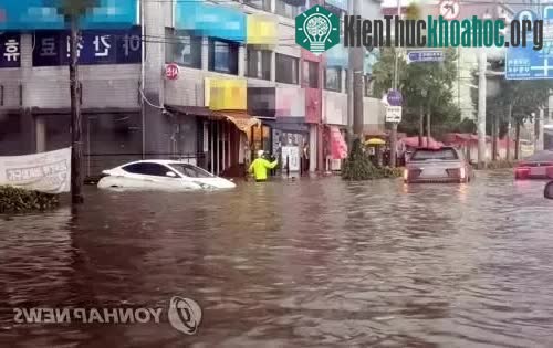 Đường phố Incheon ngập nặng hôm 8-8.
