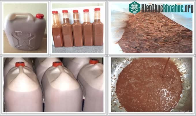 Công nghệ chế biến đầu tôm thành dịch đạm làm thực phẩm của TS Quốc.