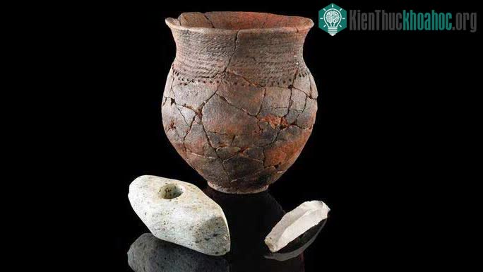 Một chiếc bình gốm Corded Ware