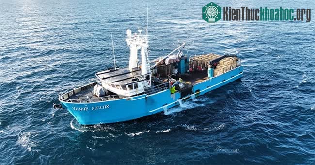 Đội thuyền đánh bắt cua Alaska
