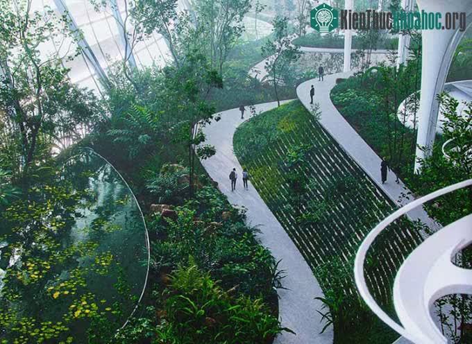 Hệ thực vật đa dạng tại Skypark.