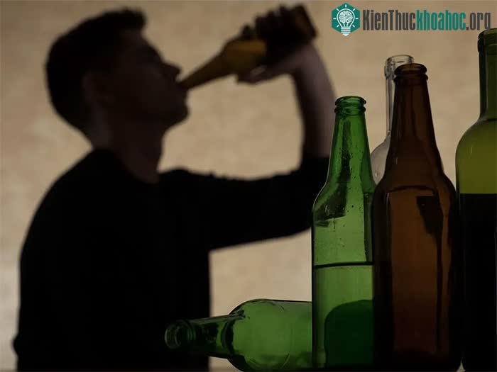 Khi bạn uống rượu, về cơ bản bạn đang làm xáo trộn chu kỳ ngủ-thức của mình.