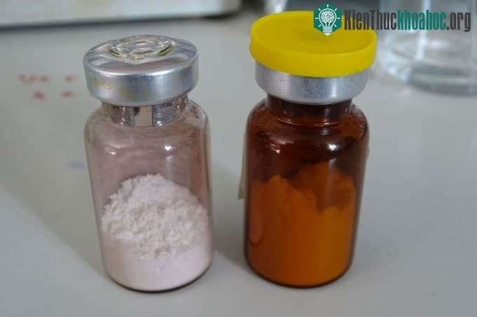 Sản phẩm xương nhân tạo BCP (trái) và α-HH của nhóm nghiên cứu.