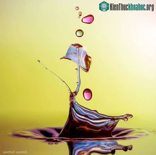 Ngắm loạt ảnh “chất như nước cất” về những giọt nước, cứ ngỡ như xem các tác phẩm điêu khắc vậy ảnh 10