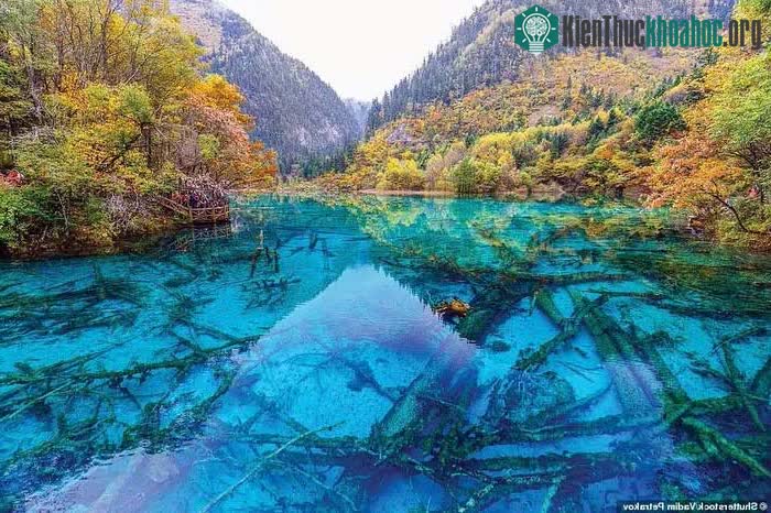 Khu bảo tồn thiên nhiên Cửu Trại Câu