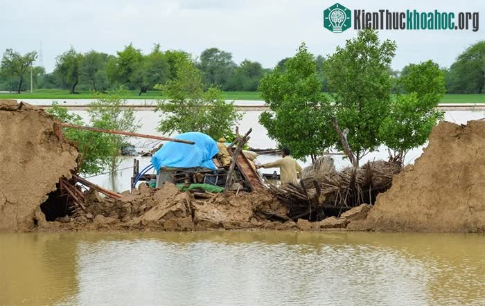 Thảm họa hơn 1.000 người chết khiến Pakistan cầu cứu thế giới ảnh 10