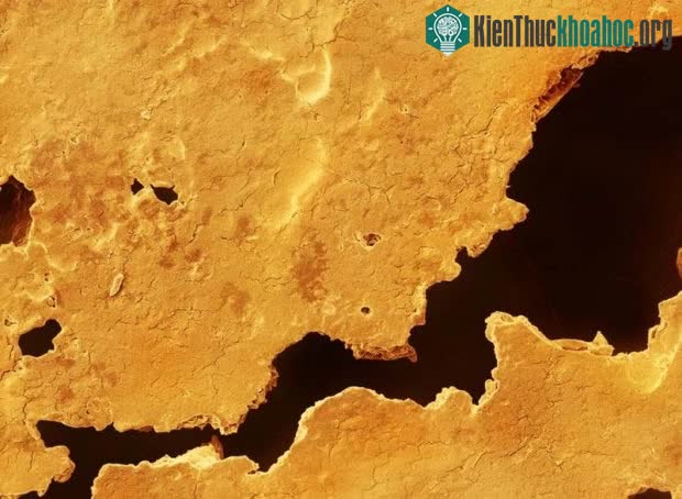 Top 25 món đồ thông dụng nhưng trông thật khác lạ dưới góc nhìn kính hiển vi ảnh 10