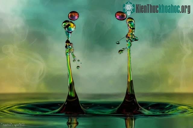 Ngắm loạt ảnh “chất như nước cất” về những giọt nước, cứ ngỡ như xem các tác phẩm điêu khắc vậy ảnh 12
