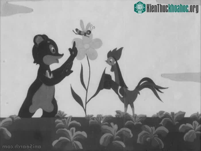 Phim hoạt hình "đáng đời thằng cáo"