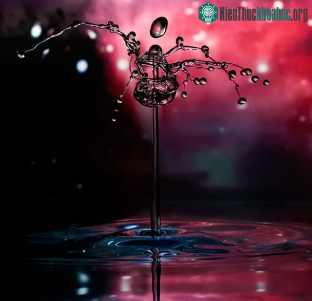Ngắm loạt ảnh “chất như nước cất” về những giọt nước, cứ ngỡ như xem các tác phẩm điêu khắc vậy ảnh 14