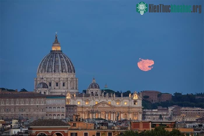 Vương cung Thánh đường St. Peter tại Rome, Italy.