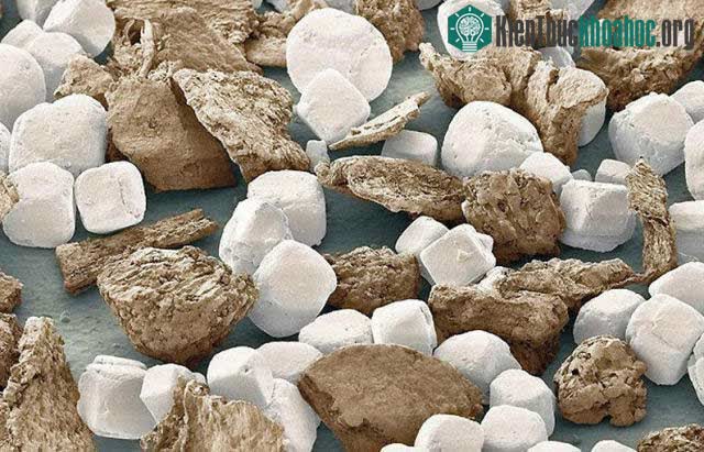 Top 25 món đồ thông dụng nhưng trông thật khác lạ dưới góc nhìn kính hiển vi ảnh 17