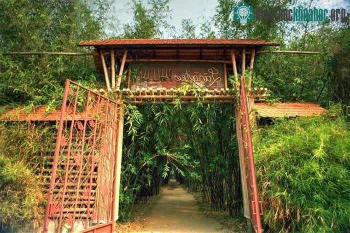 Khu bảo tồn sinh thái tre