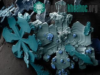 Top 25 món đồ thông dụng nhưng trông thật khác lạ dưới góc nhìn kính hiển vi ảnh 18