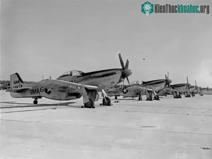 Mustang P-51 - loại máy bay tương tự như chiếc Gorman đã bay đêm đó