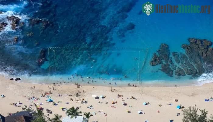 Đảo Réunion thử nghiệm phương pháp lập rào chắn bao quanh khu vực bơi lội để ngăn cá mập.