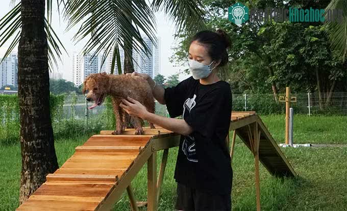 Công viên dành cho chó đầu tiên tại Hà Nội ảnh 2