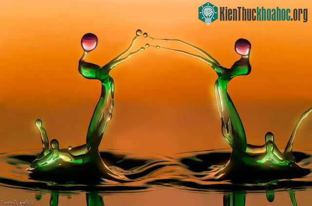 Ngắm loạt ảnh “chất như nước cất” về những giọt nước, cứ ngỡ như xem các tác phẩm điêu khắc vậy