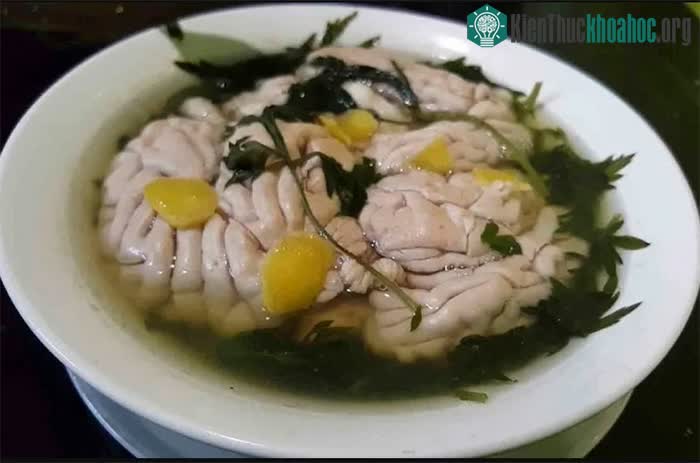 Óc heo