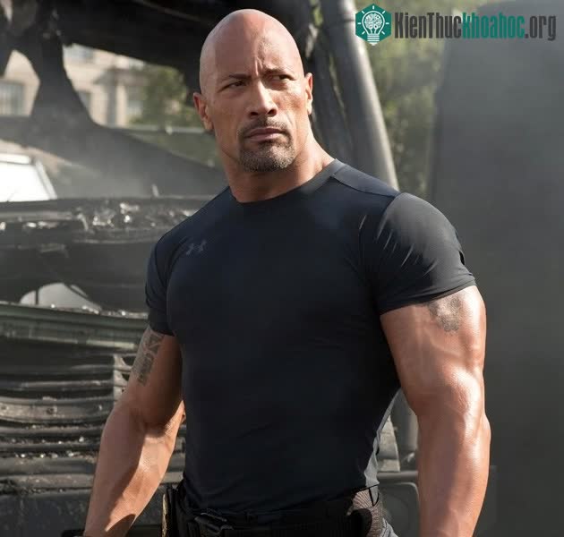 The Rock
