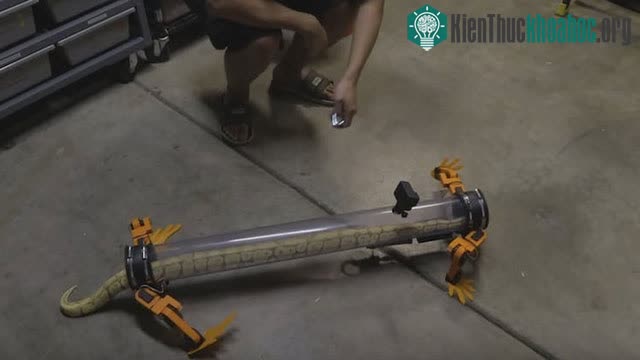 Phần thân chính của robot là một ống nhựa trong suốt.