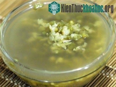 Nước đậu xanh thanh nhiệt, giải độc gan.