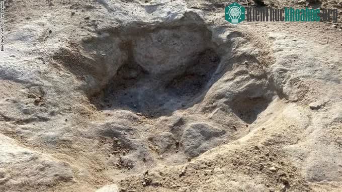 Dấu chân khủng long hóa thạch trong những điều kiện khác với chính loài khủng long.