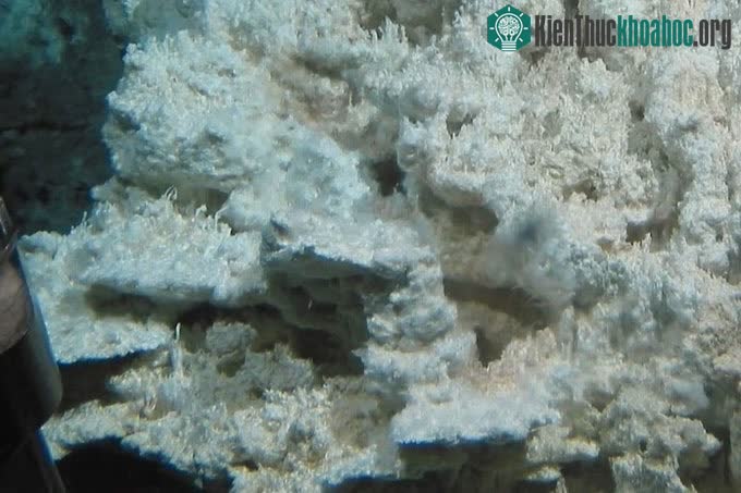 Các loại vi khuẩn sống trên một luồng lưu thông calcite ở thành phố mất tích.