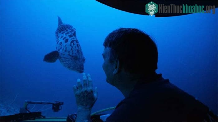 Chuyến thám hiểm dưới nước làm sáng tỏ những bí ẩn của Maldives ảnh 2