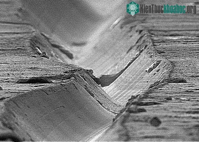 Top 25 món đồ thông dụng nhưng trông thật khác lạ dưới góc nhìn kính hiển vi ảnh 24