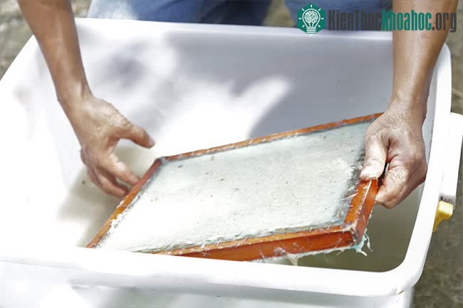 Phân voi sau khi được thu lại sẽ được rửa qua nhiều lần nước sạch