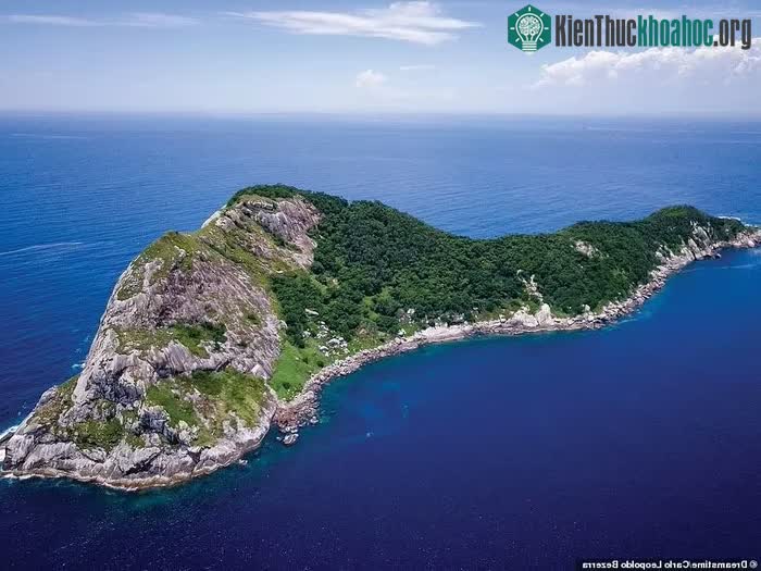 Ilha Da Queimada Grande, Brazil